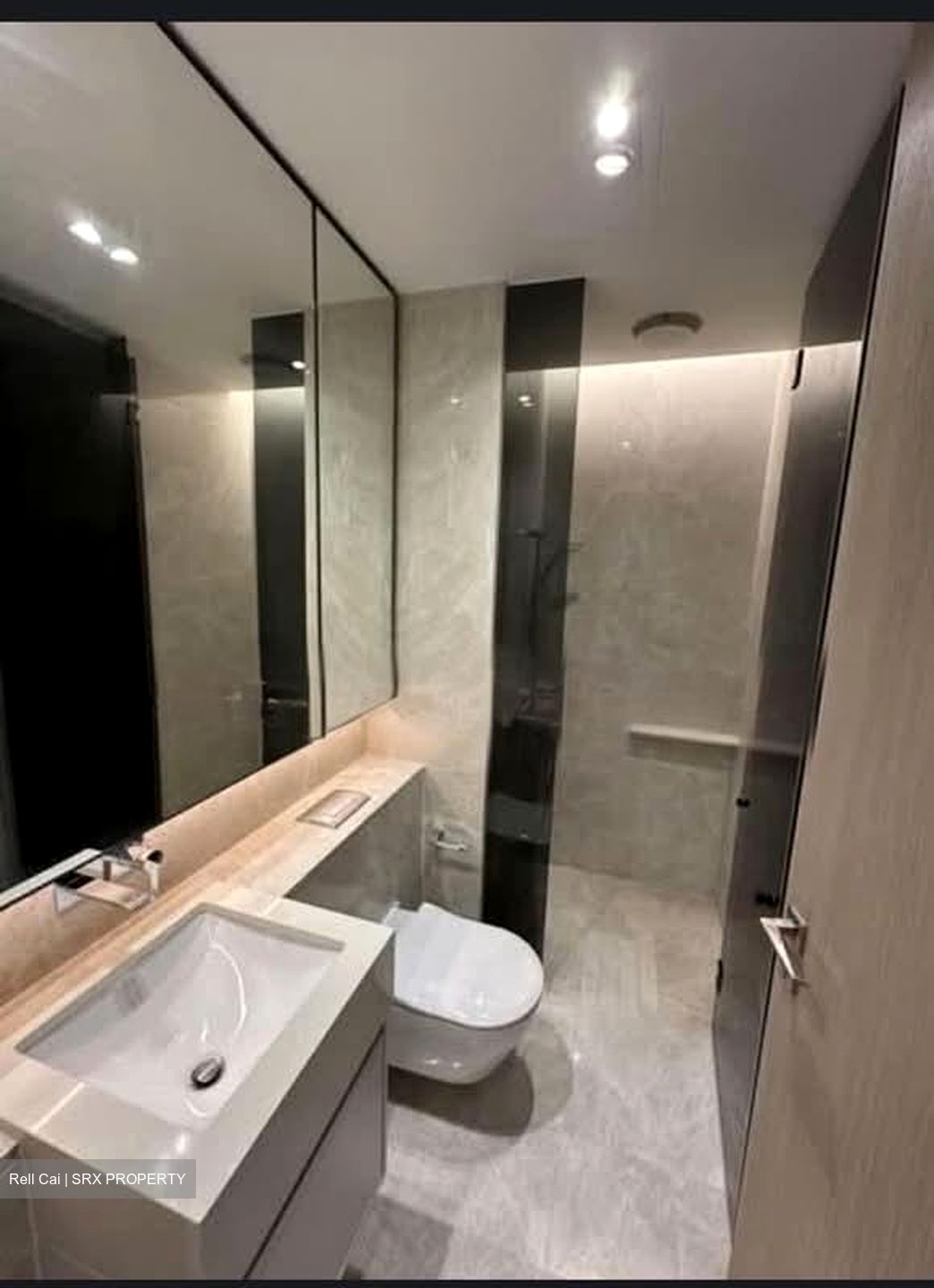 Amber Park (D15), Condominium #586784541